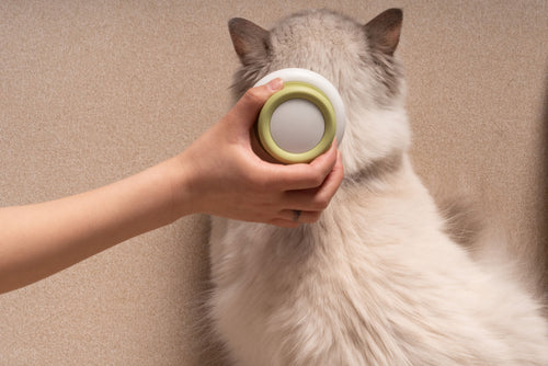 Pet Life ® 'Scwubba' Handheld Bathing Brushing and Massaging Soft Flexible Grooming Pet Comb