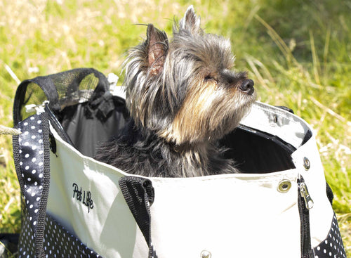 Pet Life ® 'Tote n' Boater' Trendy Spotted Designer Fashion Travel Pet Dog Carrier