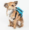 Pet Life ® 'Waggler Hobbler' Large-Pocketed Animated Fashion Dog Harness Backpack