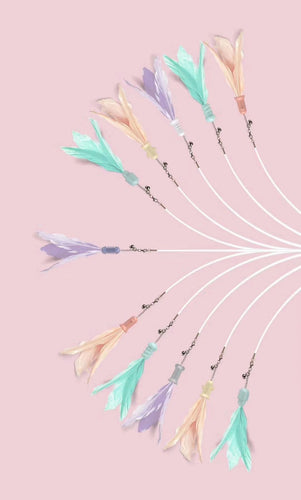 Pet Life ® 'Wander-cat' Customizeable and Extendable 10-in-1 Attachment Laser Cat Teaser