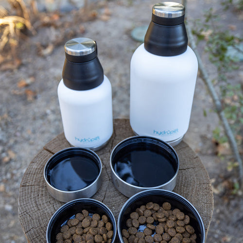 **SALE** HydroPet® 32 oz Portable Dog Water Bottle – Stainless Steel Travel Flask with 2 Detachable Bowls, Carry Bag & Strap