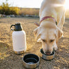 **SALE** HydroPet® 32 oz Portable Dog Water Bottle – Stainless Steel Travel Flask with 2 Detachable Bowls, Carry Bag & Strap