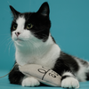 Natural Hemp Mouse Cat Toy - Eco-Mouser