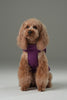 Reversible Dog Vest Jacket - Purple Caramel