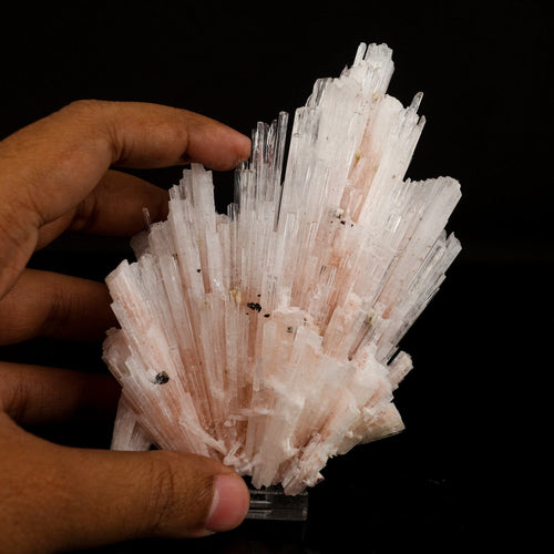 Pink Scolecite Sprays Rare found Natural Mineral Specimen # B 6662