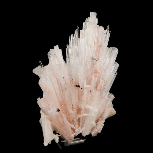 Pink Scolecite Sprays Rare found Natural Mineral Specimen # B 6662