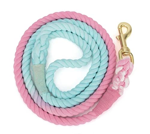 Pink and Blue Tie Dye Dog Leash - Glow Pups