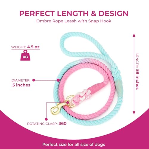 Pink and Blue Tie Dye Dog Leash - Glow Pups