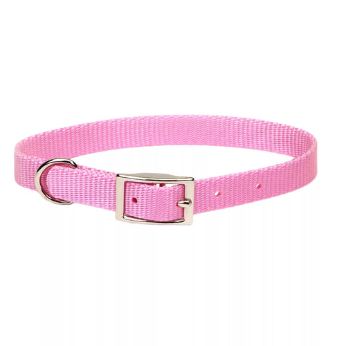 Coastal Dog Collar 12 Pink