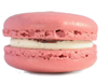 Macarons Organic Dog Treats