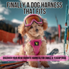 EcoBark Step In Dog Harness - XXXS to Small Breeds- Reflective Soft Mesh Harness for Teacup, Small Dogs and Puppies / Hot Pink