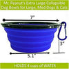 Single Blue Silicone Collapsible Travel Bowl - 12oz