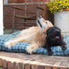 Plaid Shebang Rectangle Indoor Outdoor Dog Bed