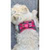Plush Step In Air Mesh Harness - Shark Grey/Pink