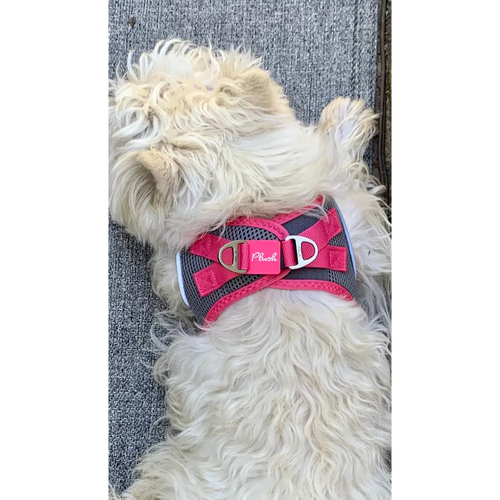 Plush Step In Air Mesh Harness - Shark Grey/Pink