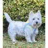 Plush Step In Harness Spring Plaid