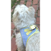 Plush Step In Harness Spring Plaid