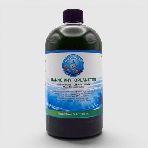 Nanochloropsis Japanese Chlorella Phytoplankton Culture