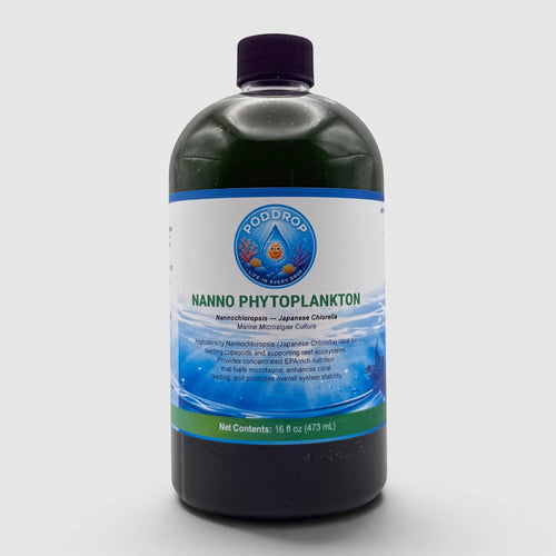 Nanochloropsis Japanese Chlorella Phytoplankton Culture