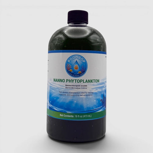 Nannochloropsis oculata Phytoplankton Culture