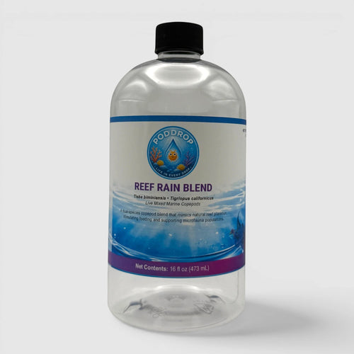 Reef Rain Copepod Blend