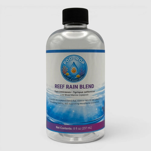 Reef Rain Copepod Blend