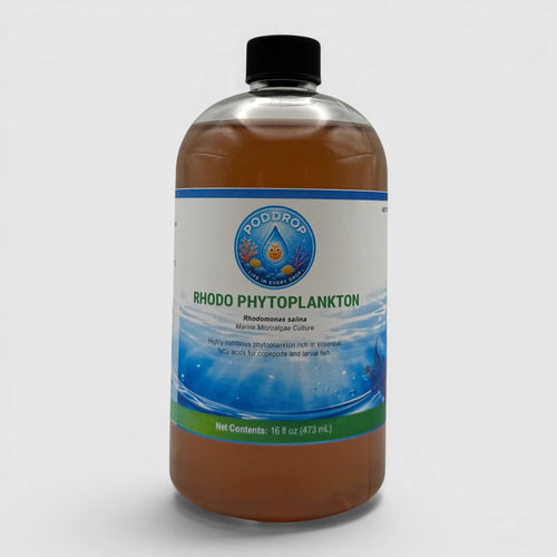 Rhodomonas salina Phytoplankton Culture