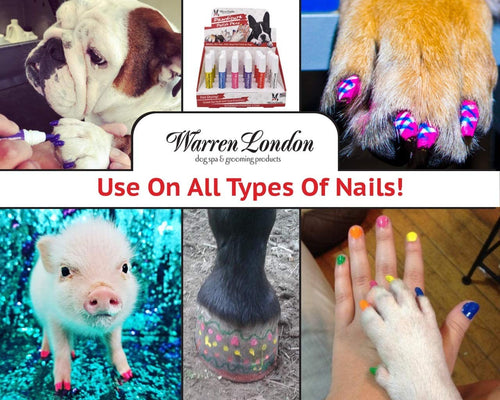 Pawdicure Polish Pens - Choose From 13 Colors! - Dog Nail Polish