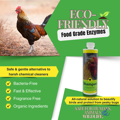 Gentle Poultry Shampoo for Show Chickens, 16 oz