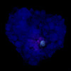 Powellite Fluorescent on Apophyllite  Natural Mineral Specimen # B 6332