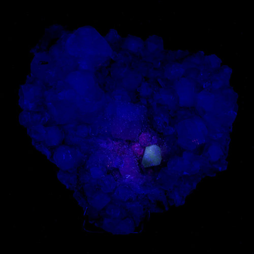 Powellite Fluorescent on Apophyllite  Natural Mineral Specimen # B 6332