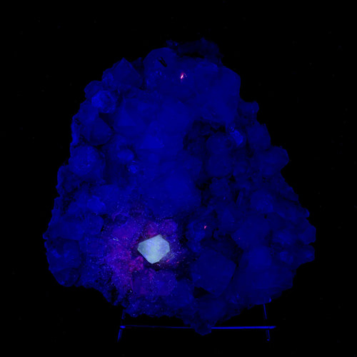 Powellite Fluorescent on Apophyllite  Natural Mineral Specimen # B 6332