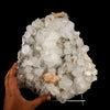 Powellite Fluorescent on Apophyllite  Natural Mineral Specimen # B 6332
