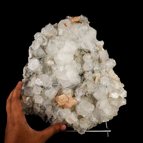 Powellite Fluorescent on Apophyllite  Natural Mineral Specimen # B 6332
