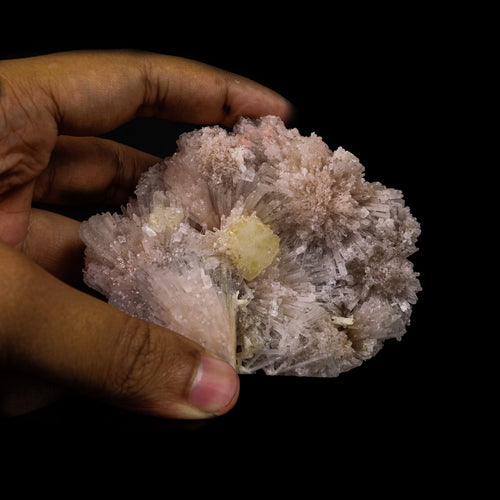 Powellite with Pink Scolecite Rare Find Natural Mineral Specimen # B 6914