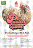 Poultry Queen Mealworm, Non-GMO Corn, Non-GMO Flax, & Herb Treat For Pet Chickens