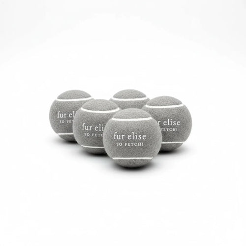 So Fetch! Tennis Ball Pack of 5 - Steel
