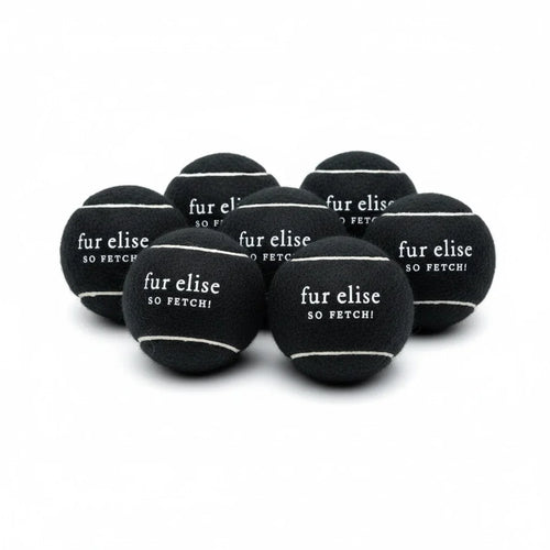 So Fetch! Tennis Ball Pack of 7 - Noire