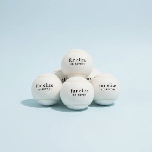 So Fetch! Tennis Balls Pack of 5 - Ivory