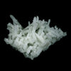 Prehnite Pseudomorphed Rare Find Natural Mineral Specimen  # B 4712