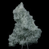 Prehnite Pseudomorphed Rare Find Natural Mineral Specimen  # B 4714