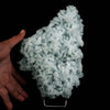 Prehnite Rare Find Natural Mineral Specimen  # B 4598
