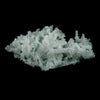 Prehnite Rare Find Natural Mineral Specimen  # B 4717
