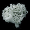 Prehnite Rare Find Natural Mineral Specimen  # B 4755