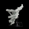 Prehnite Rare Find Natural Mineral Specimen # B 5710