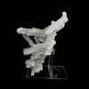 Prehnite Rare Find Natural Mineral Specimen # B 5710
