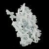 Prehnite Rare Find Natural Mineral Specimen # B 5845