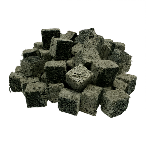 Super Cichlids Freeze-Dried Blackworms with Spirulina (All Natural, High Protein Fish Food)