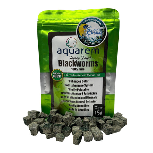 Super Cichlids Freeze-Dried Blackworms with Spirulina (All Natural, High Protein Fish Food)