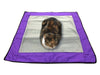 Premium Reversible Pet Sleep Mat 24 X 24 (Made in USA)